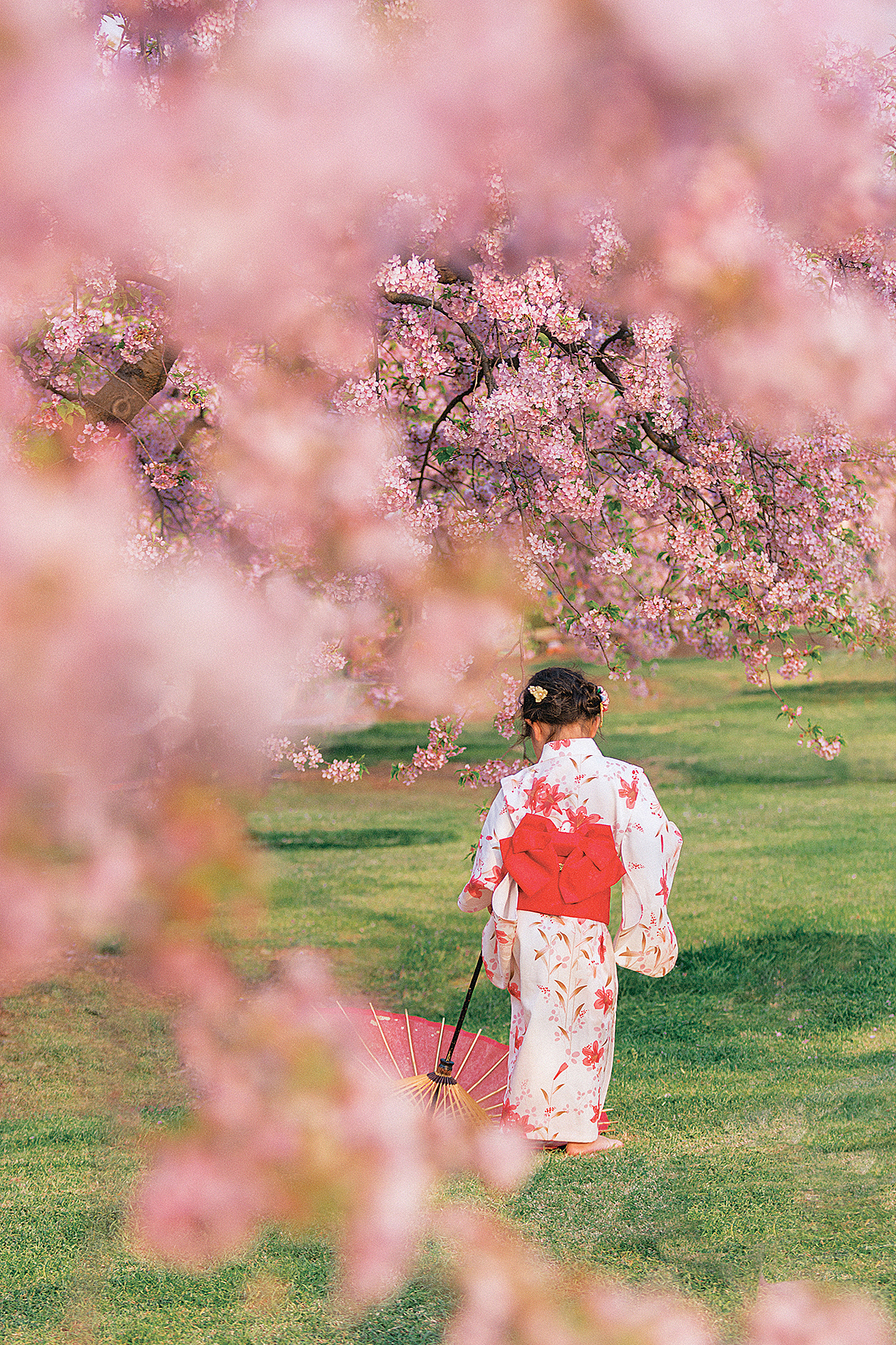 日系复古胶片写真樱花和服（图ZMjkyNDAxNjE2） - 人像摄影 - 站酷设计师翩翩_peng原创素材 - 站酷ZCOOL