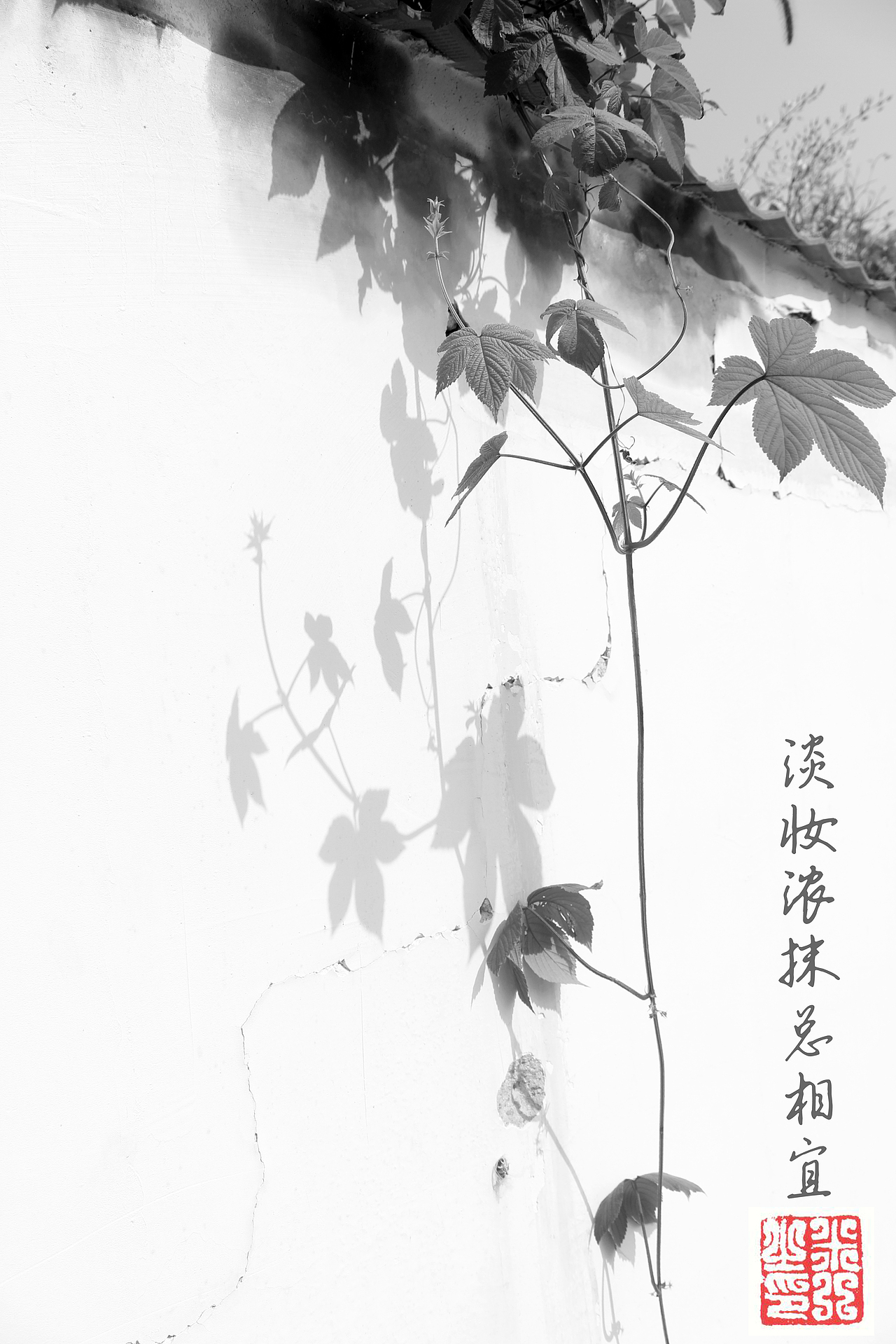 知无不言