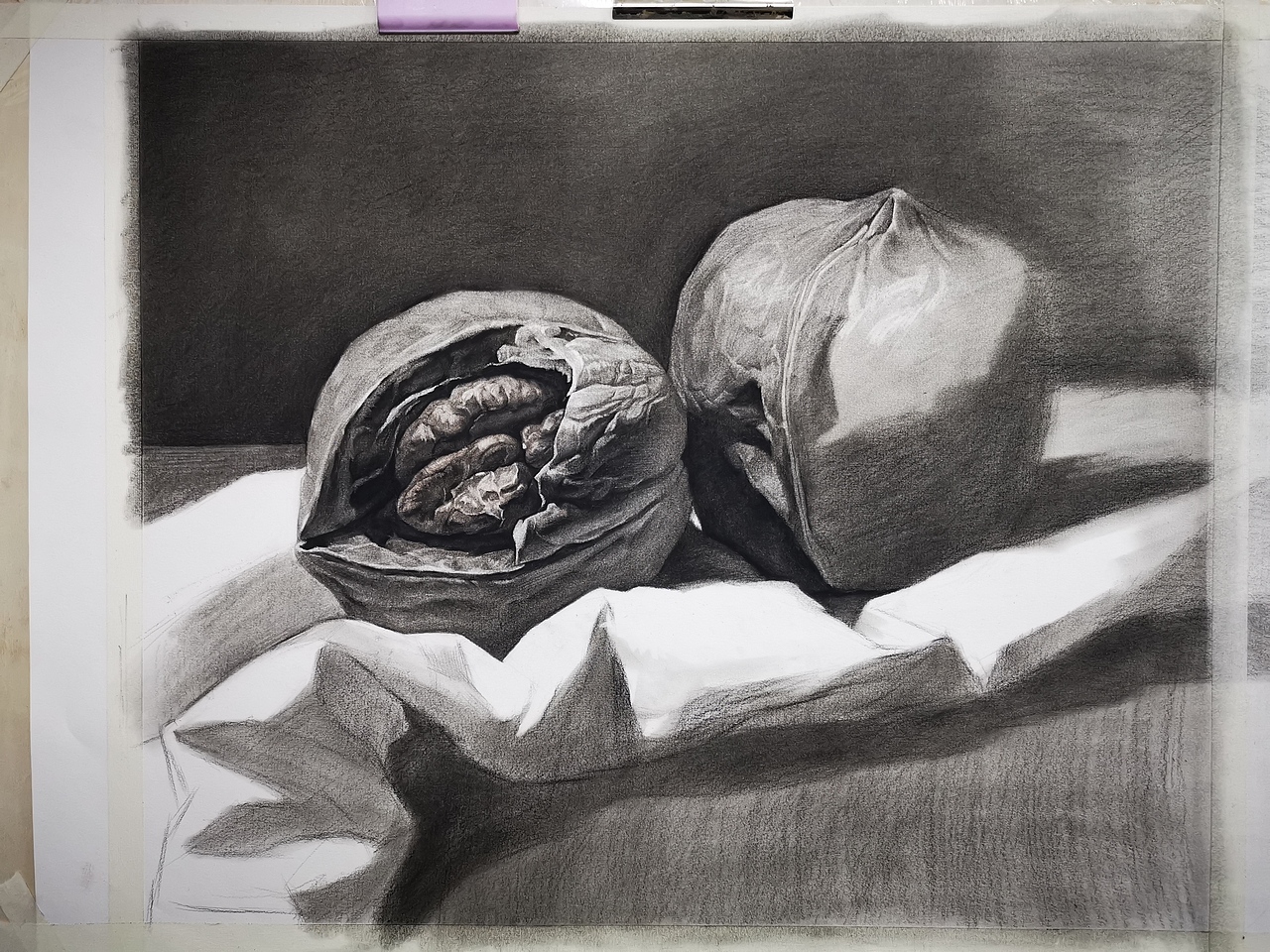 素描静物大核桃