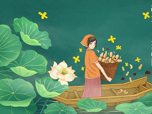 藕粉包装插画设计