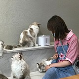 小小此木的头像
