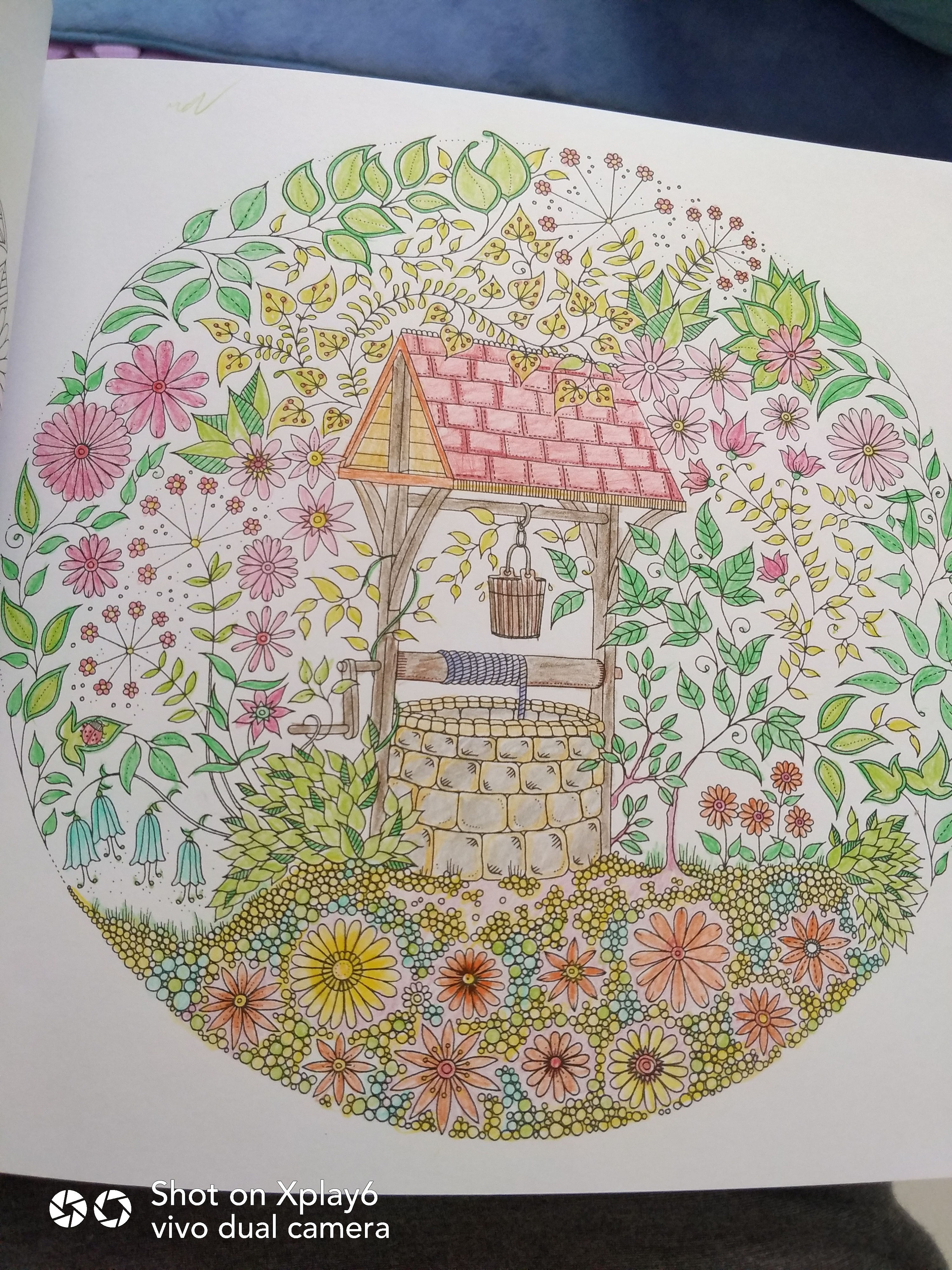 秘密花园画法图片