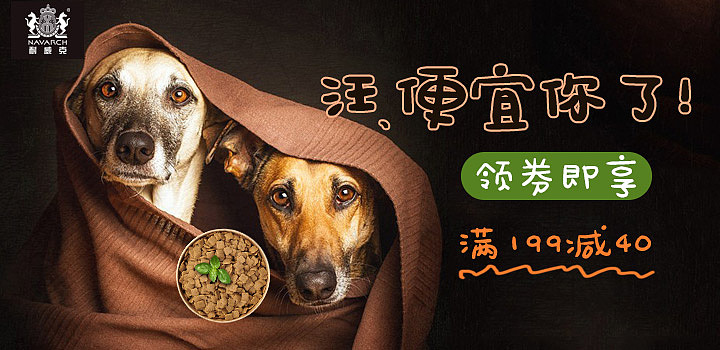 宠物用品banner
