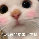 zxl小小张呀的头像