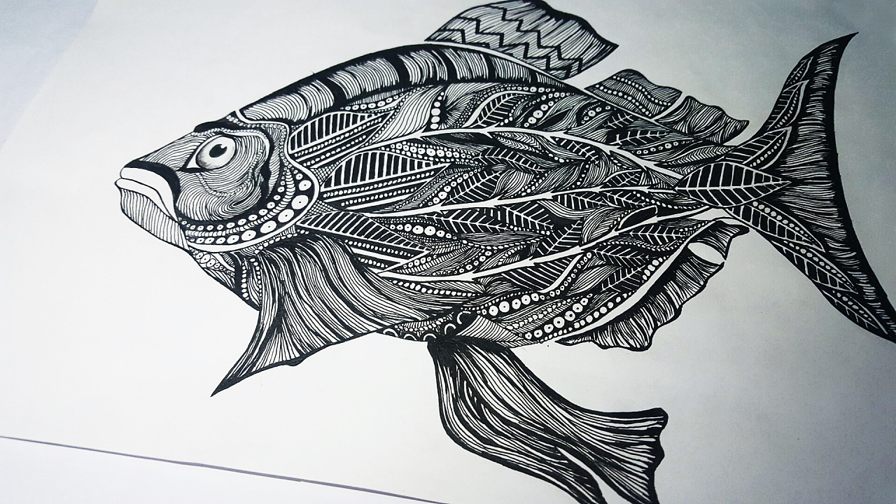 一个内心复杂外表更复杂的鱼