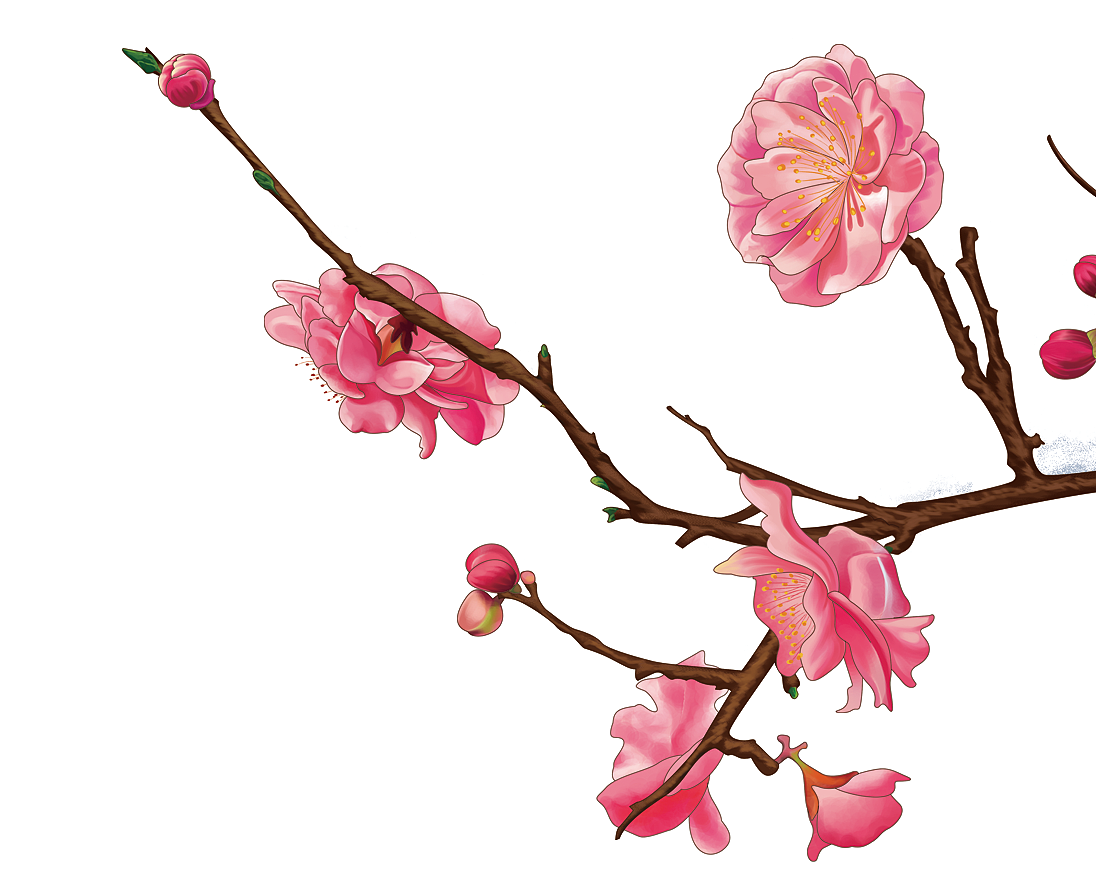 老物件兒（圖ZMTE2MzM0MTky） - 商業(yè)插畫 - 站酷設(shè)計師wtt861104原創(chuàng)素材 - 站酷ZCOOL