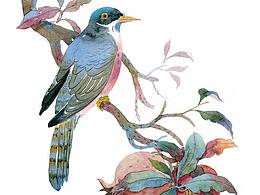 《森林密语系列》纸本水彩