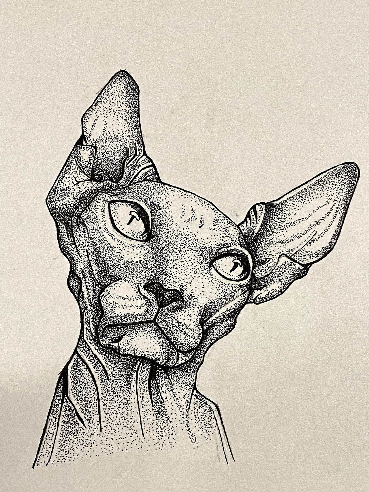 点绘|纯艺术|绘画|老吕家的独苗 - 原创作品 - 站酷 (zcool)