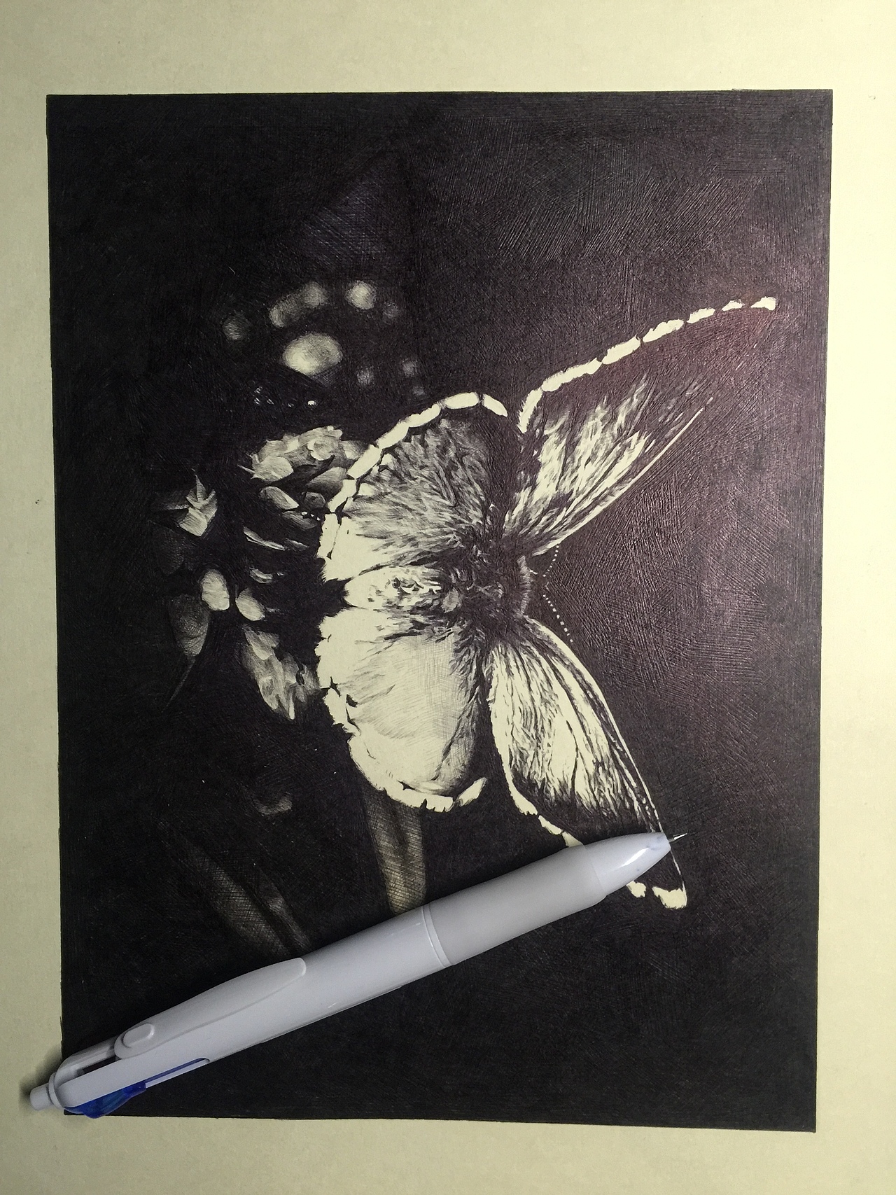 蝴蝶密语 圆珠笔（图ZNTM5NjExNDQ=） - 绘画 - 站酷设计师jam设计原创素材 - 站酷ZCOOL