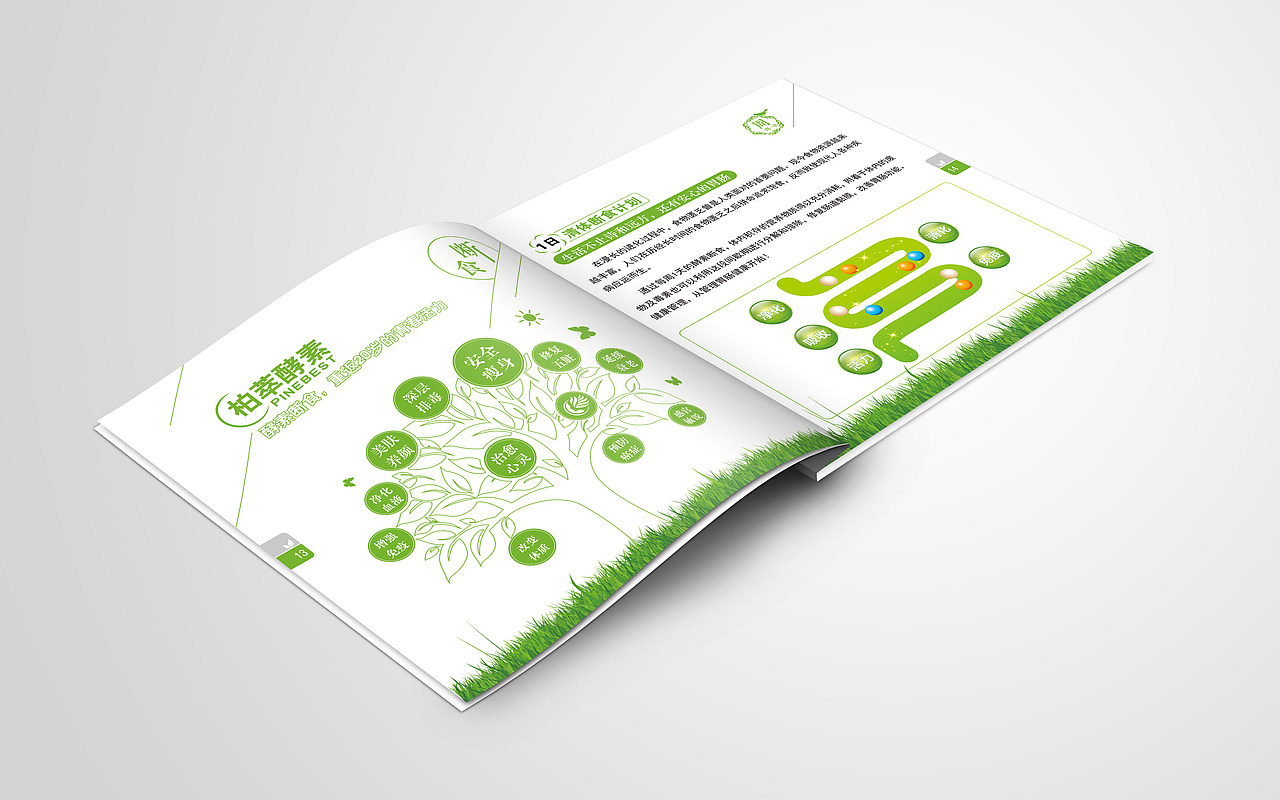 柏萃酵素断食养生手册（图ZODEwMjI2NTI=） - 书籍/画册 - 站酷设计师meilens原创素材 - 站酷ZCOOL