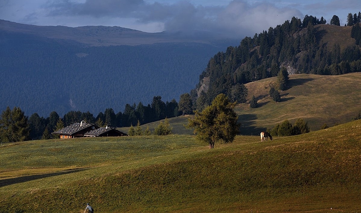 高级灰调子的水彩风景怎么画