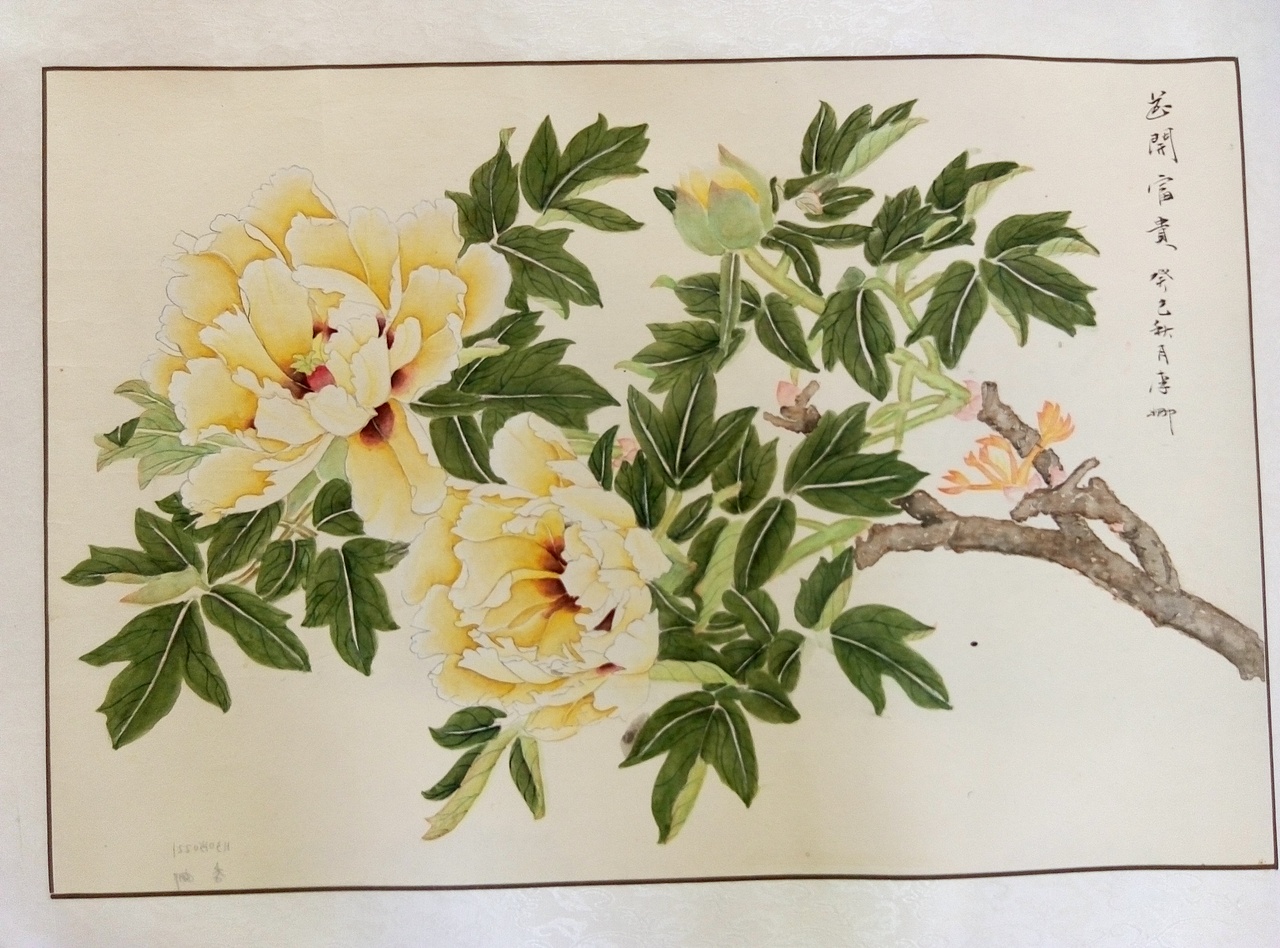 国画--没骨牡丹