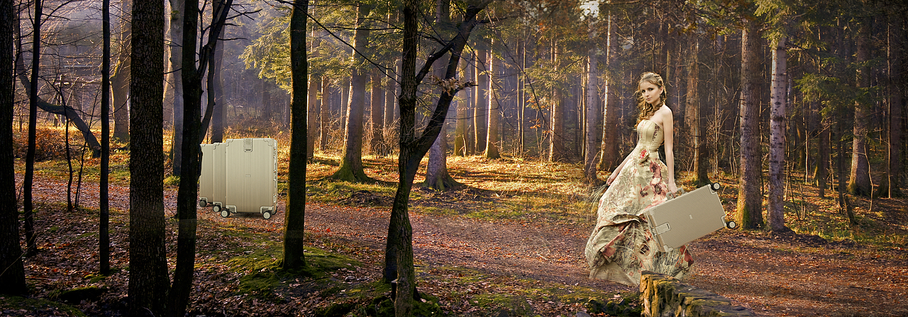 fans作品-平面设计