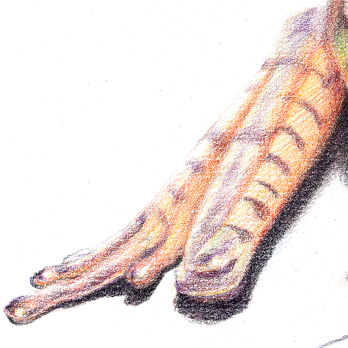 纸上彩铅--《囊蛙》过程随录（图ZMTczOTEzNDQ=） - 绘画 - 站酷设计师超超的青葱原创素材 - 站酷ZCOOL