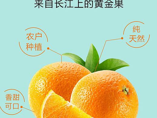 奉节脐橙海报