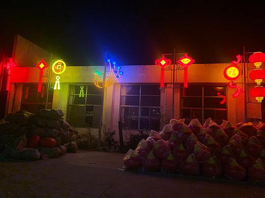 世博光电led中国结,led灯笼春节亮化路灯装饰亮化氛围