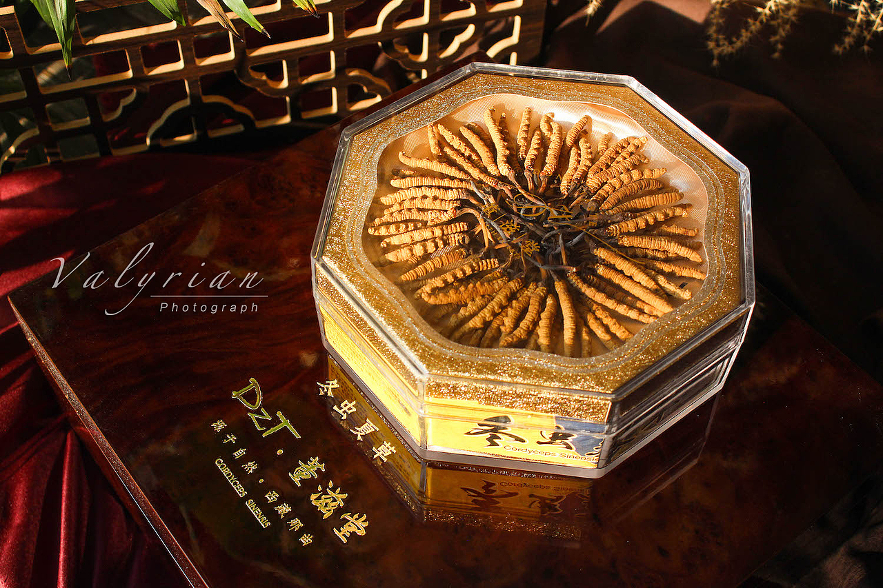 冬虫夏草·礼盒（图ZMjcyNTYyMTcy） - 产品摄影 - 站酷设计师Valyrian原创素材 - 站酷ZCOOL