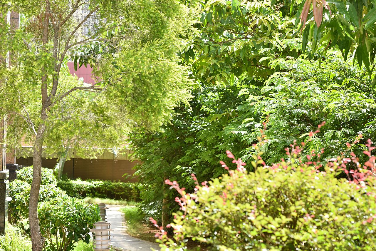 周末遛娃（圖ZMjIwOTg2MDM2） - 人像攝影 - 站酷設(shè)計(jì)師一名執(zhí)事原創(chuàng)素材 - 站酷ZCOOL