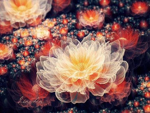 一花一世界 万物皆分形 系列1 (fractal art flowers)