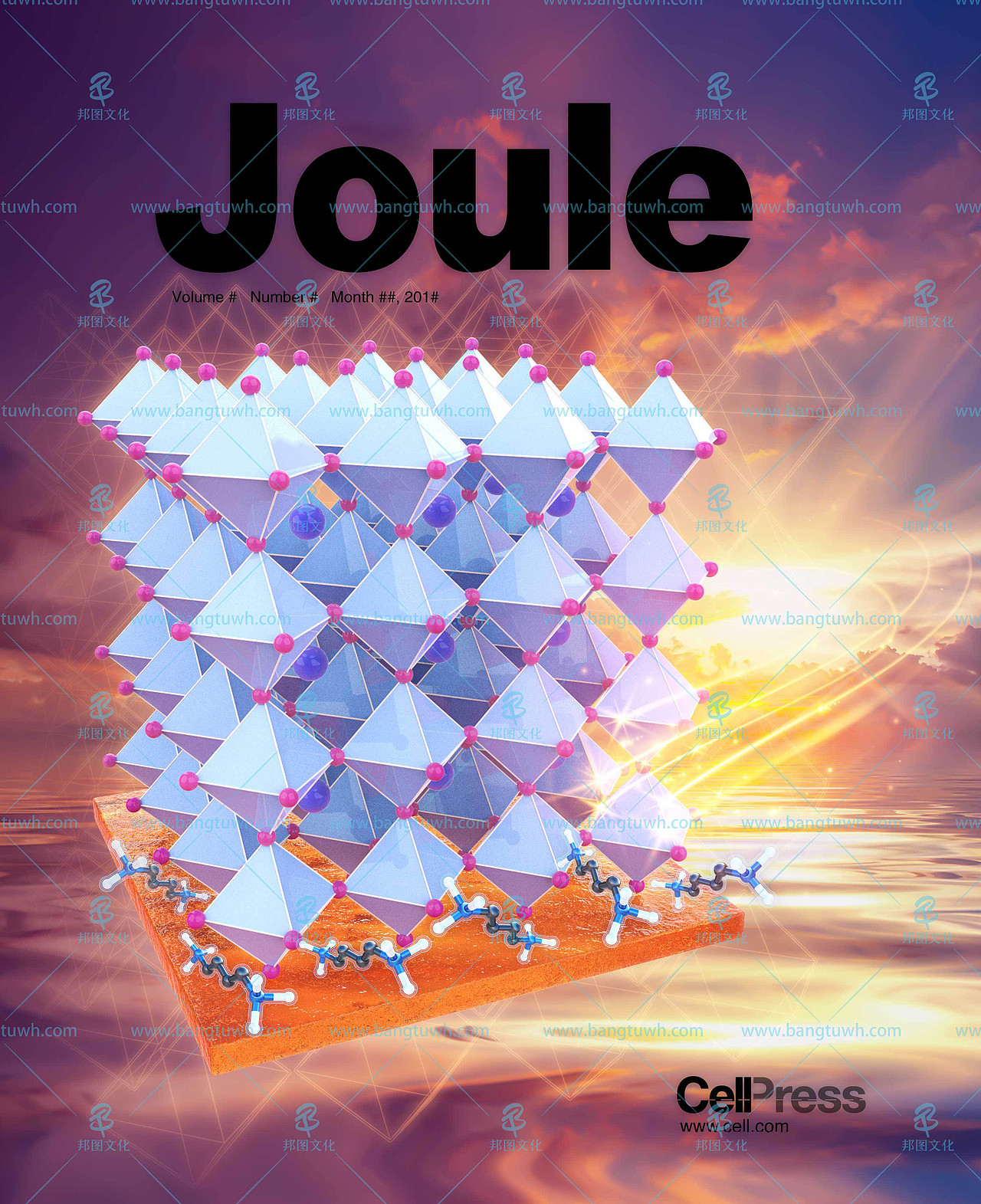 杂志封面图文章示意图机理图TOC设计制作美化科研绘图