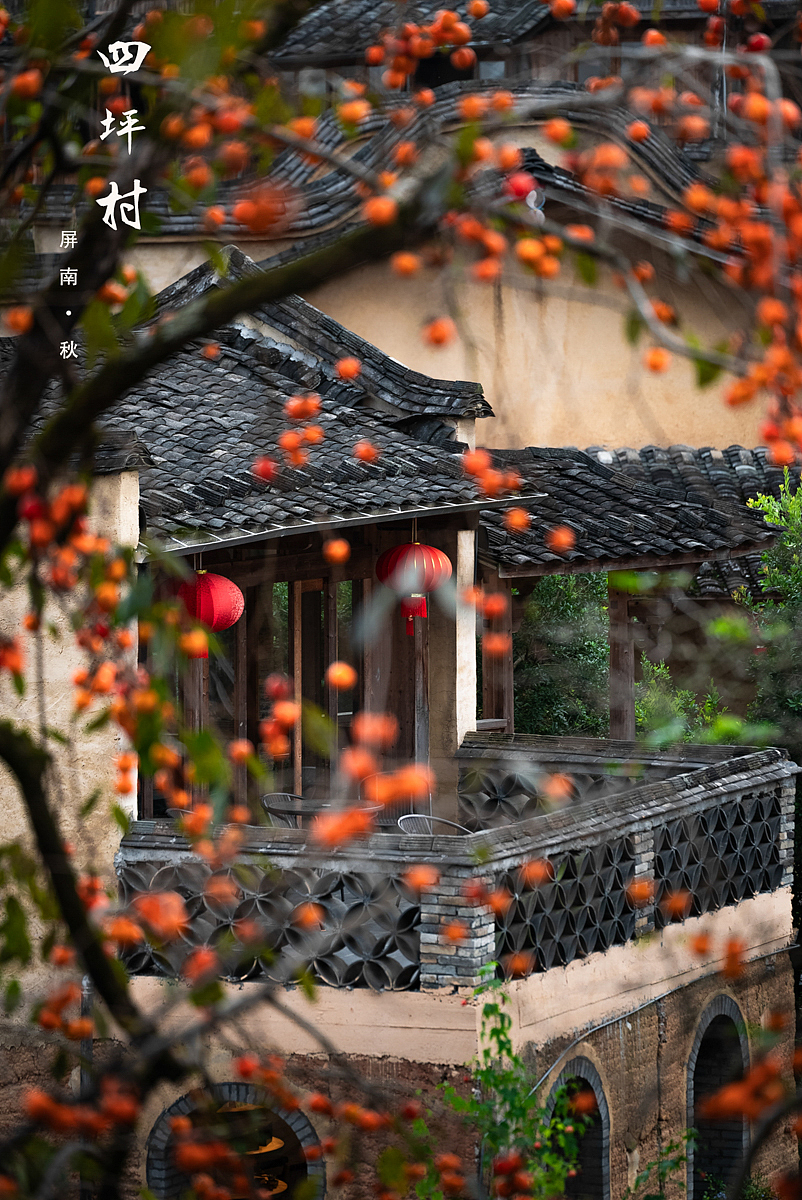 屏南四坪村柿子（图ZMzU0NzUwMzMy） - 风光摄影 - 站酷设计师摄影师陈荣杰原创素材 - 站酷ZCOOL