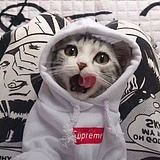 Hy丶Creative的头像