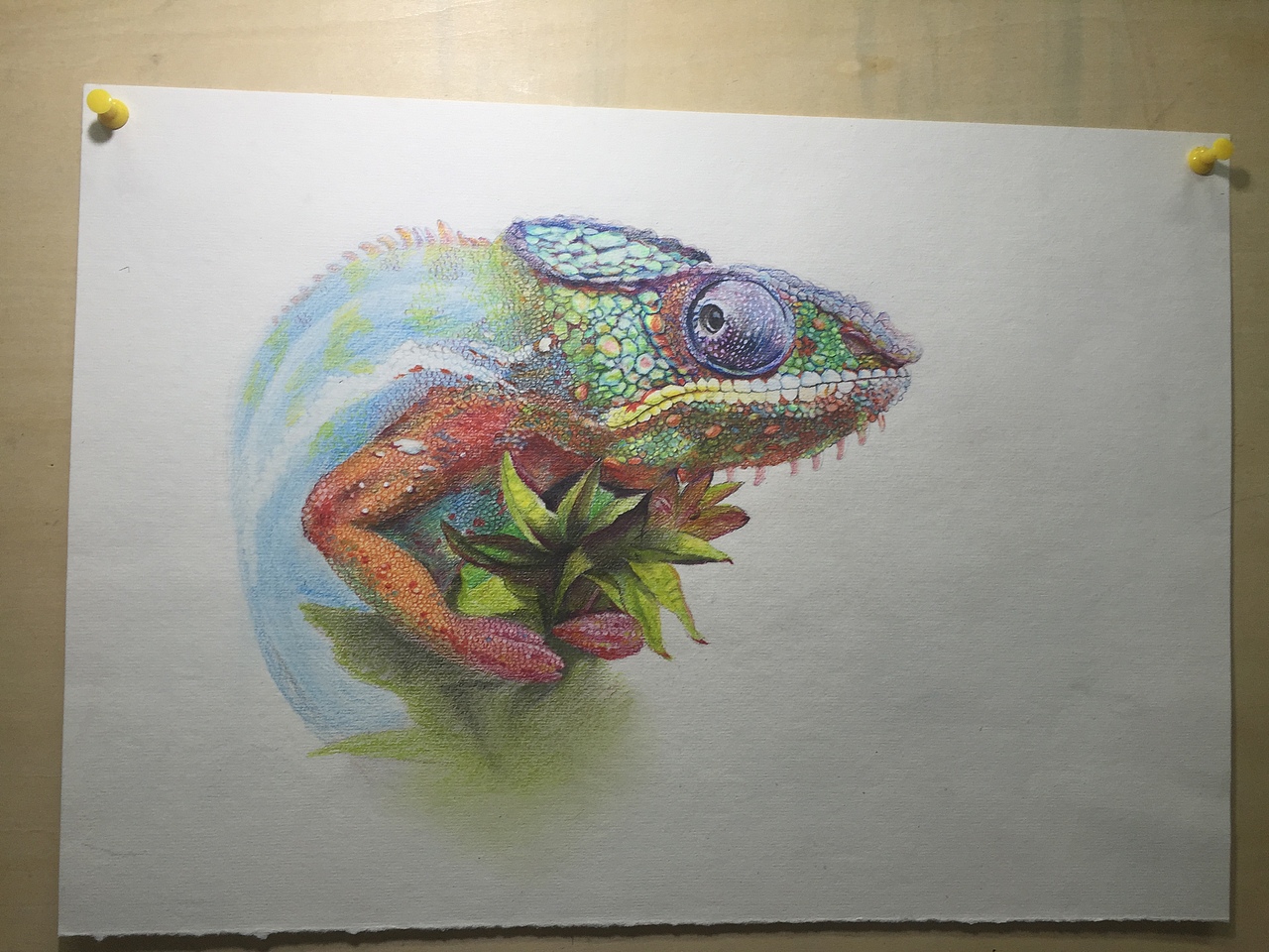 变色龙水溶彩铅步骤图