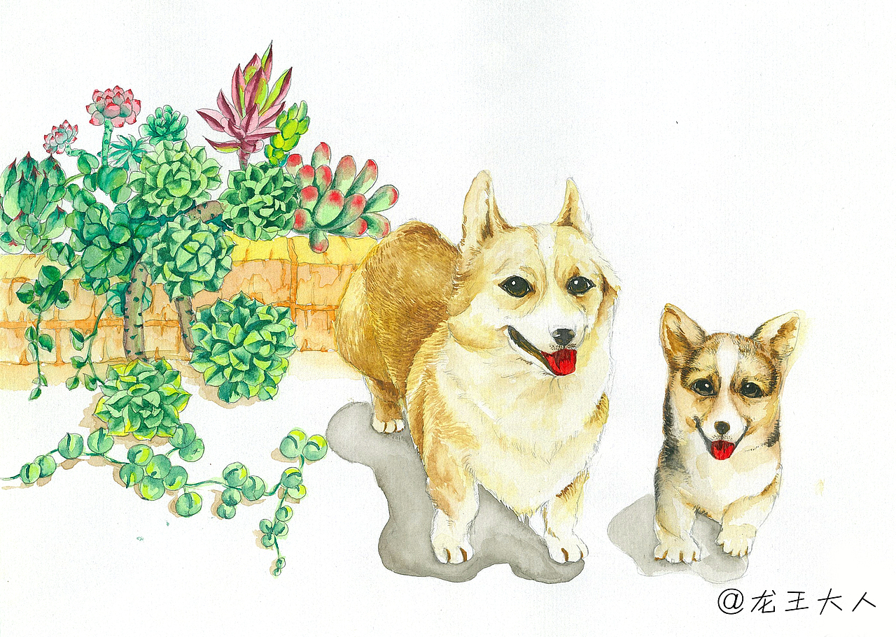 萌萌哒小柯基|插画|创作习作|金龙鱼jl_原创作品-站酷zcool