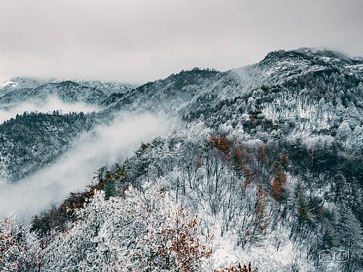 水墨城口
