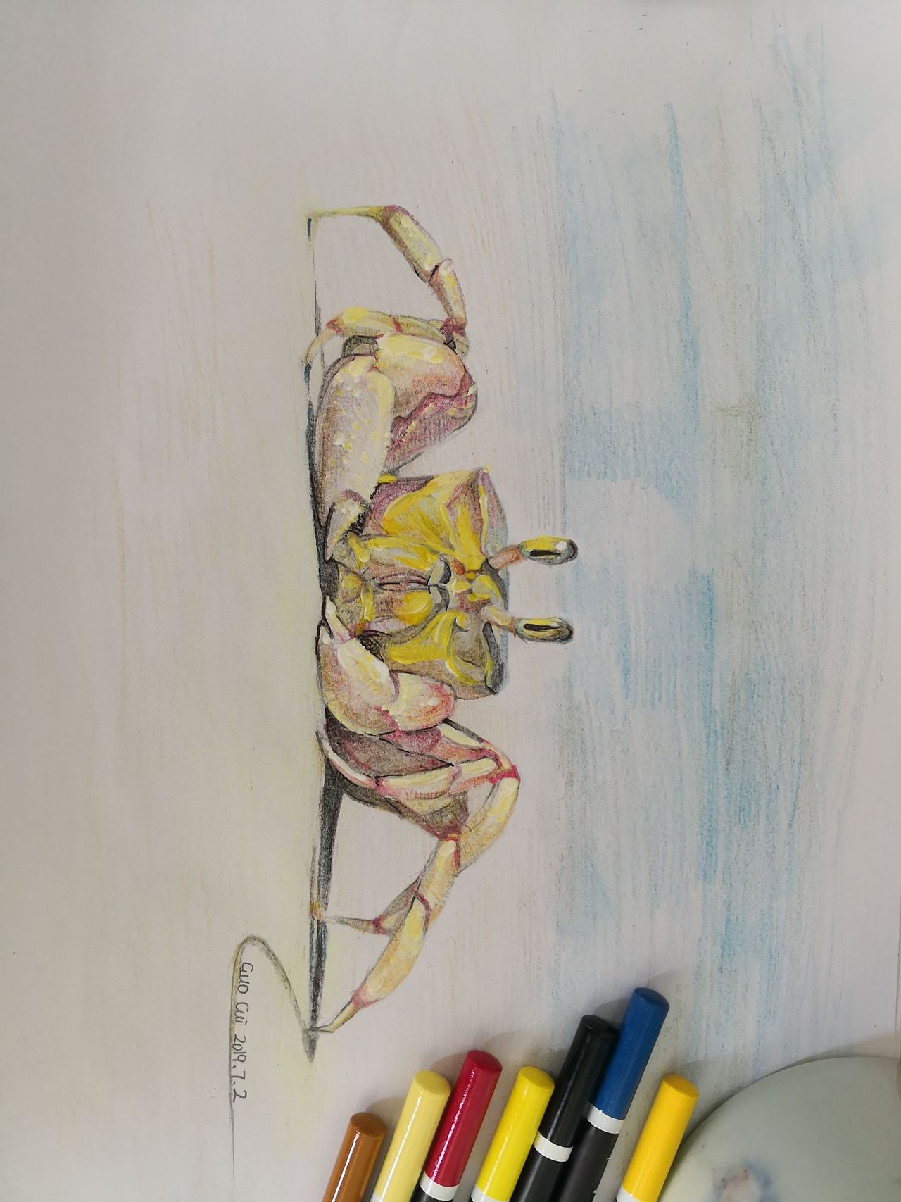 彩铅画、素描画,照片写生