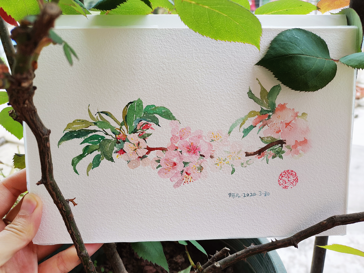 分享收藏最近累积的画最近积累的一波水彩画手绘头像合集丙烯画花卉