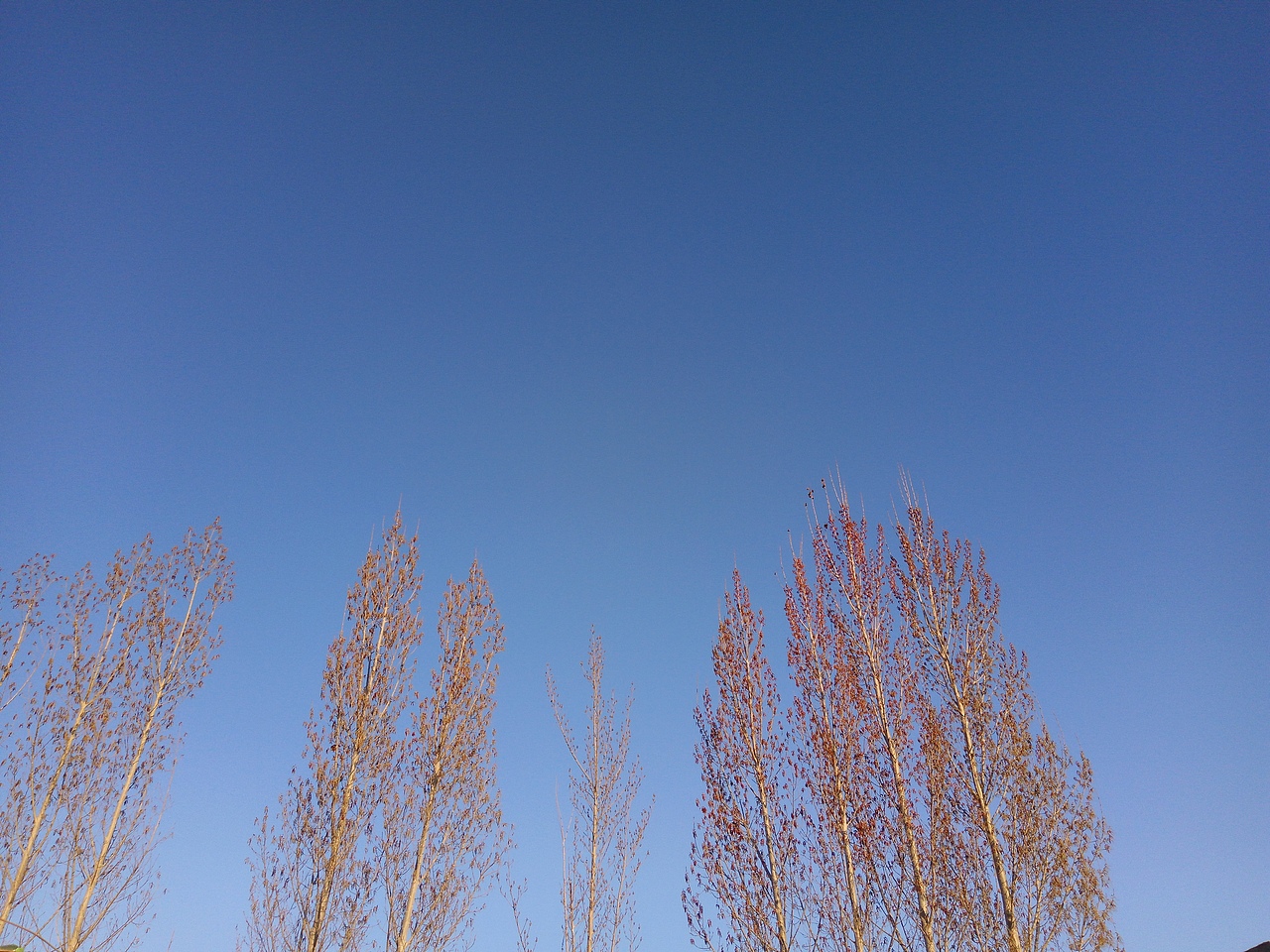 贼有料手机摄影 | 蓝天云脉