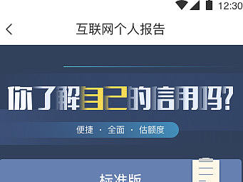 互联网个人新报报告个人标准版