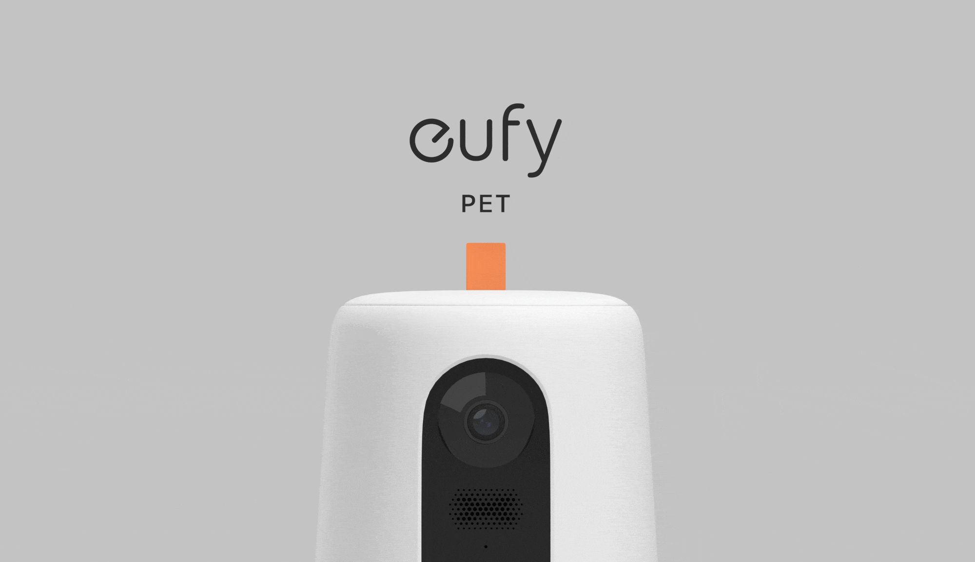 Dog Camera