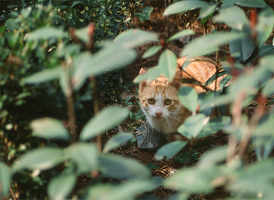 只为记录，不为胜利（图ZMjQ1NTE2NTY=） - 人文/纪实摄影 - 站酷设计师觉纪原创素材 - 站酷ZCOOL