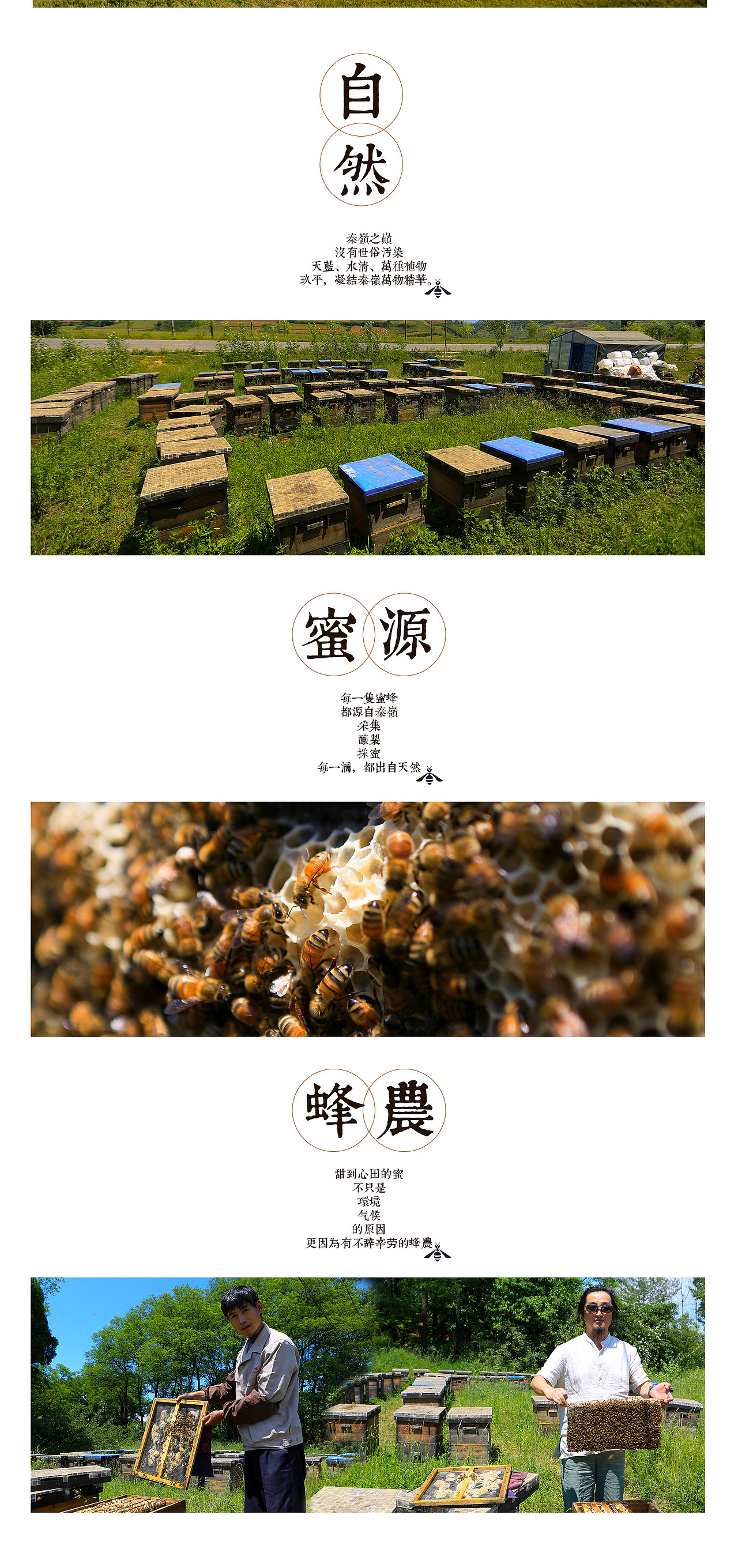 蜂蜜店铺首页