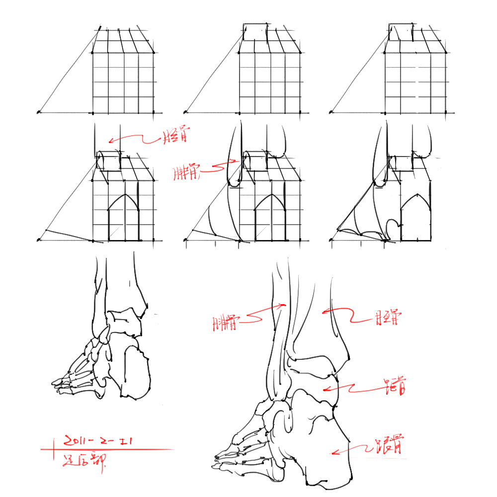 「素材」分享一波绘画专用人体解剖素材 part 04