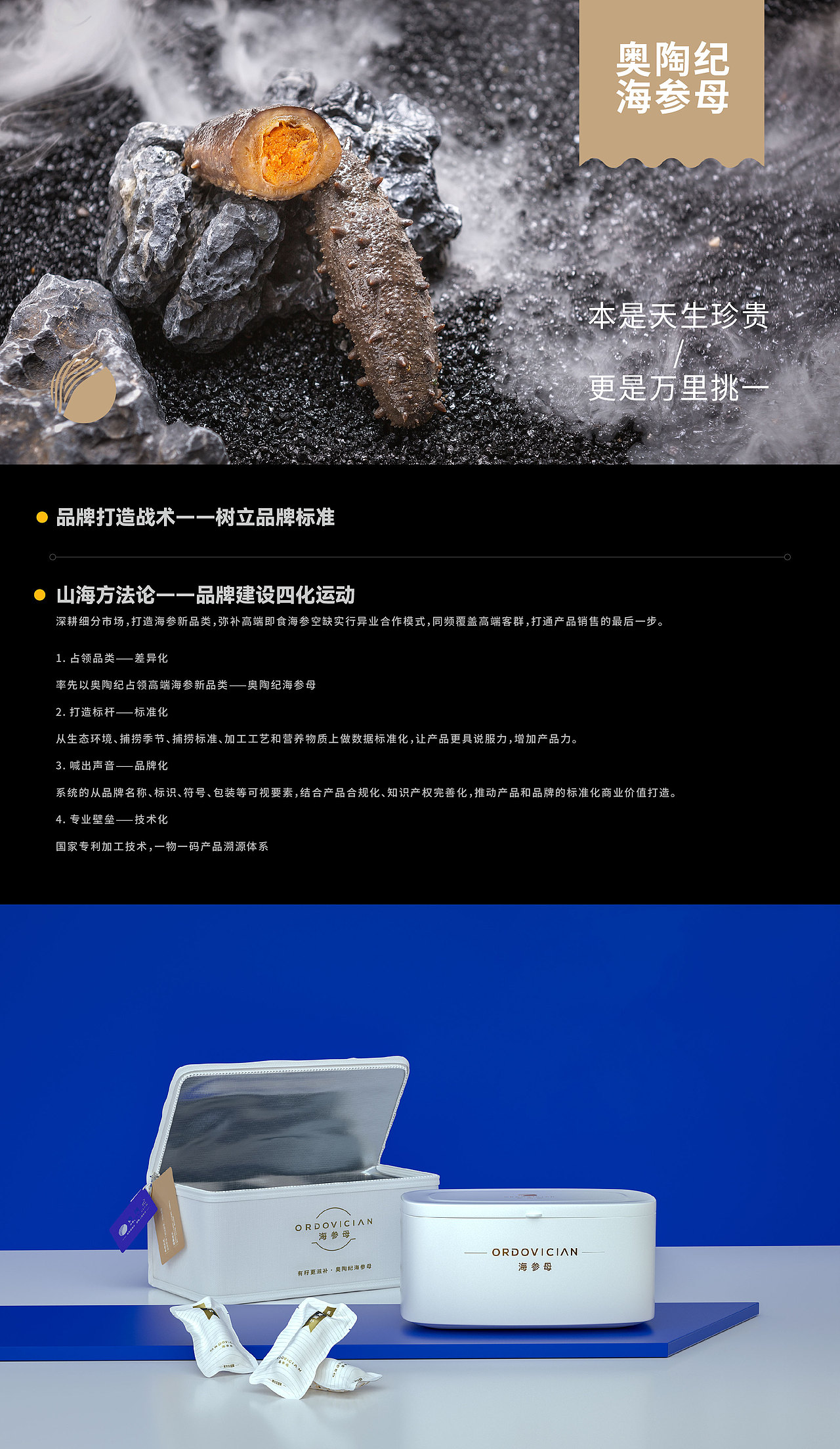 奥陶纪海参母-品牌全案设计（图ZMjgzODMwNDIw） - 品牌 - 站酷设计师一山半海品牌设计原创素材 - 站酷ZCOOL
