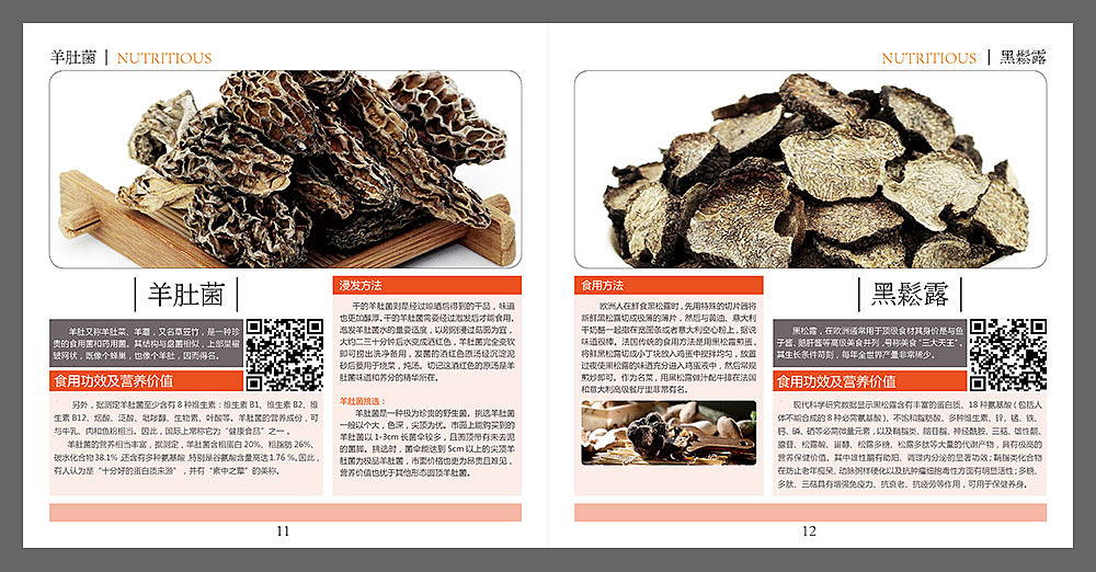 小册子设计（宣传手册）保健养生行业 传统滋补品（图ZMjcyMTY1NDQ=） - 书籍/画册 - 站酷设计师丙烯猫原创素材 - 站酷ZCOOL