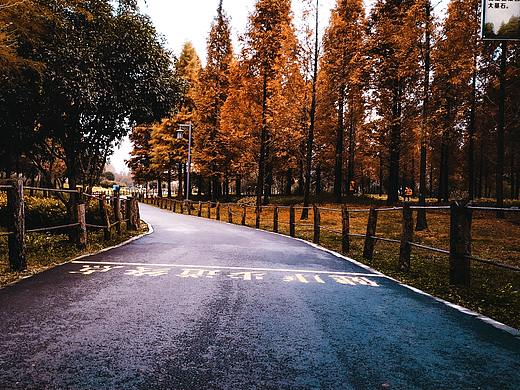 风景调色练习（个人主页-ZNDczOTMyMTY=） - 修图/后期 - 站酷设计师清秋意识几许原创素材 - 站酷ZCOOL