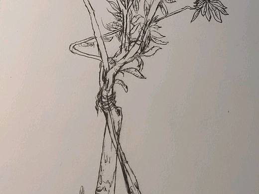 普通的樹（個人主頁-ZNjQ5MTA1NzI=） - 繪畫 - 站酷設(shè)計師嘟妒堵杜原創(chuàng)素材 - 站酷ZCOOL