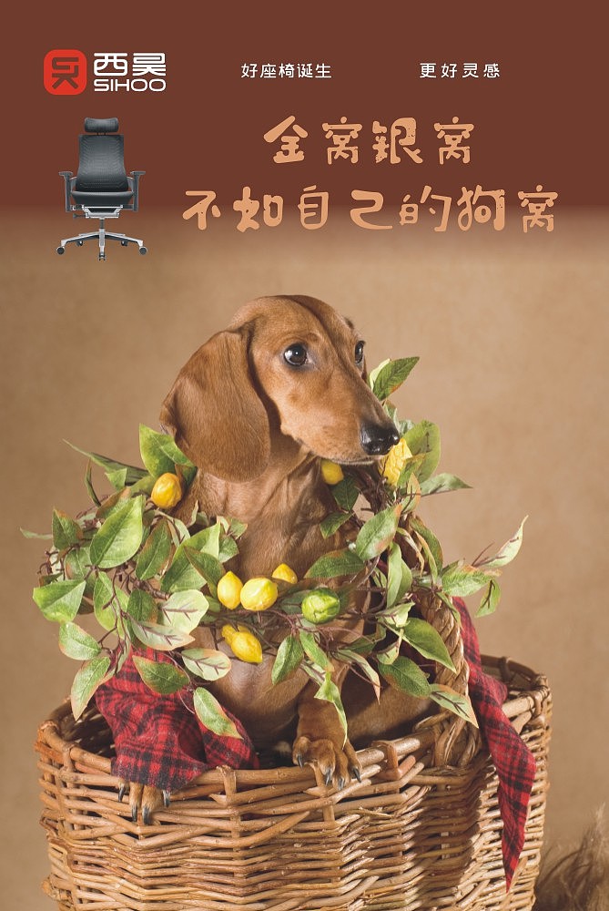 2金窝银窝不如自己的狗窝