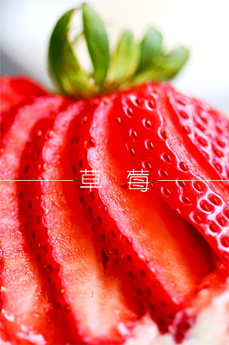 无聊如狗（图ZMzMyNDY0MTI=） - 运营设计 - 站酷设计师狗狗哇原创素材 - 站酷ZCOOL