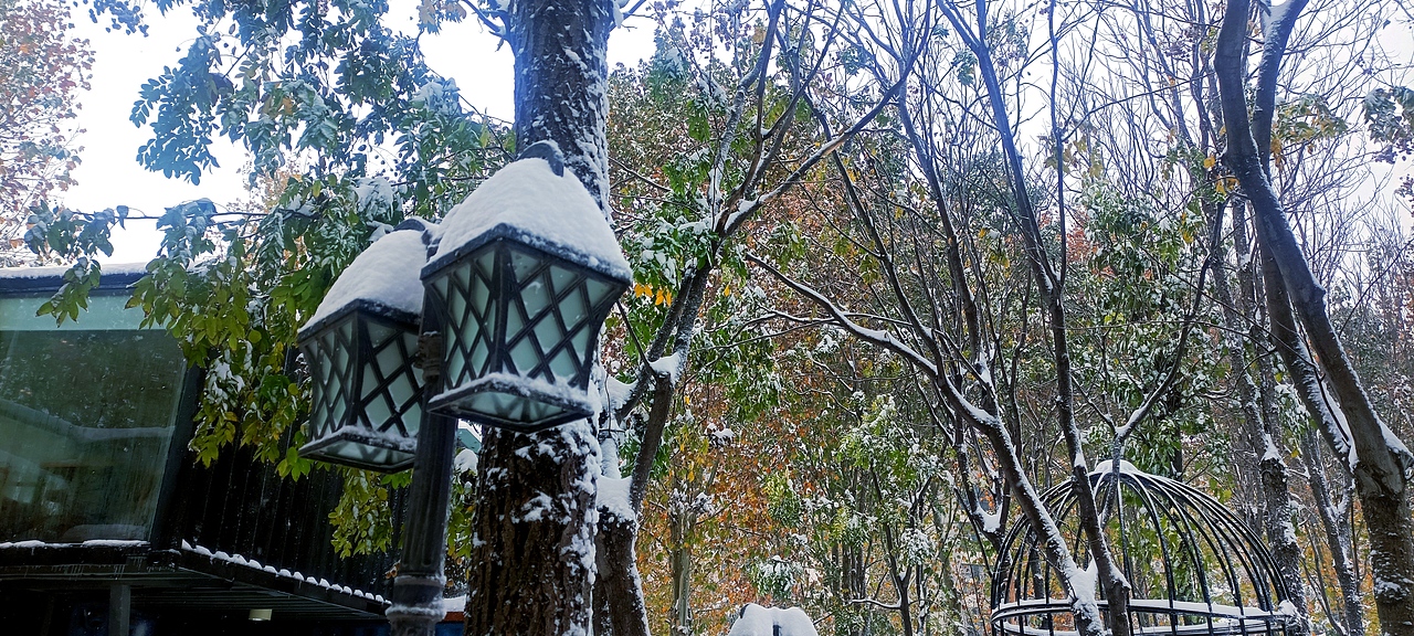 雪里的故事 秋天在大雪里走向尾声