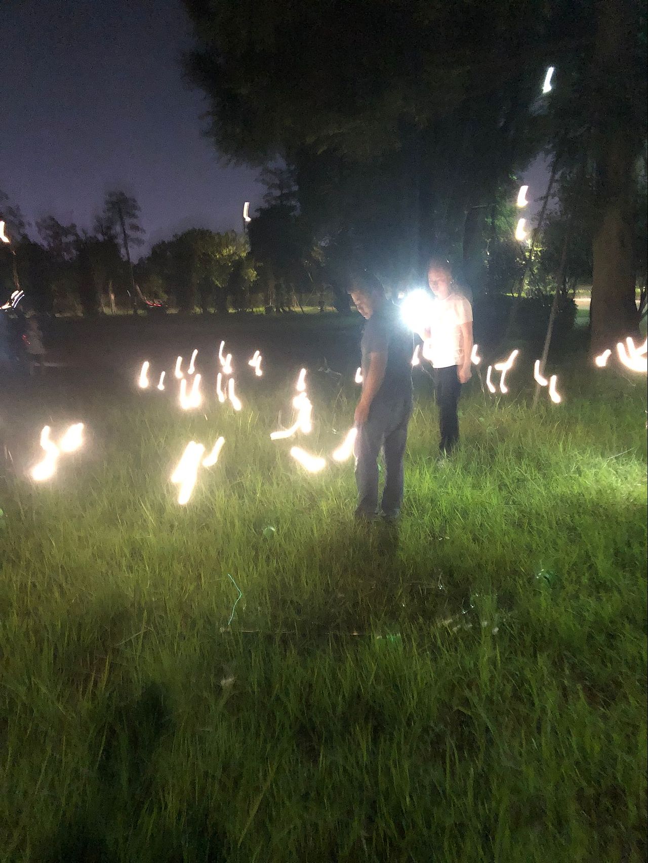 防水萤火虫灯仿真萤火虫动态摇摆装饰灯公园萤火虫灯