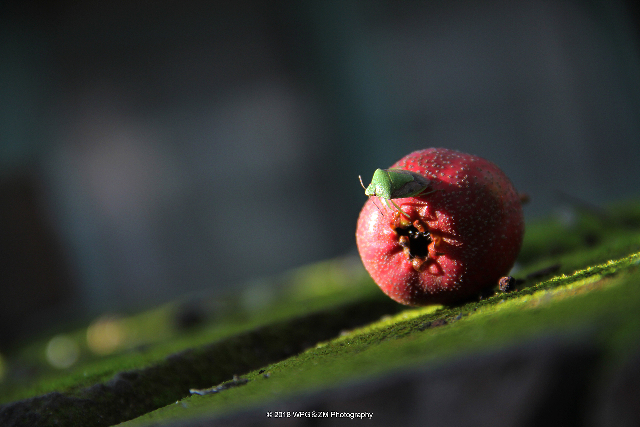 《 一雨秋凉 》