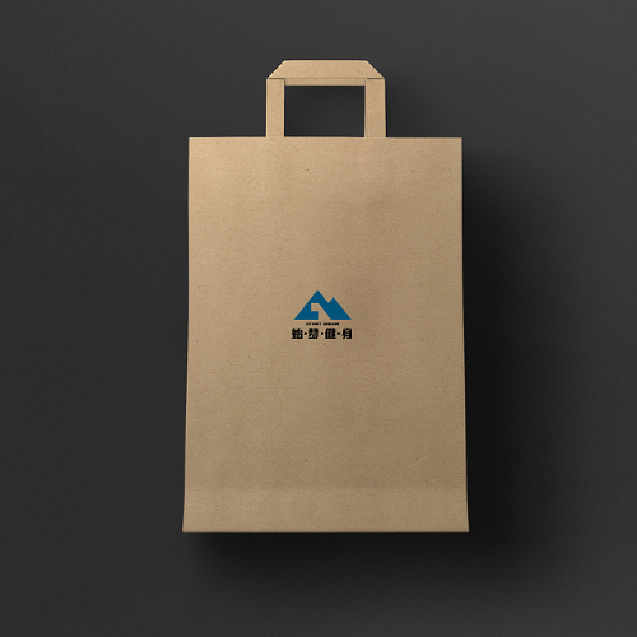 企业包装袋礼品袋|平面|包装|设计师_心岛 - 原创作品 - 站酷 (ZCOOL)