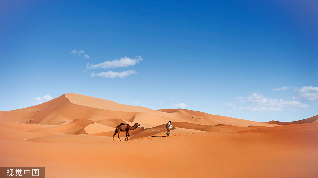 Cindy753的個人主頁（封面預(yù)覽） - 主頁封面設(shè)置 - 站酷設(shè)計師Cindy753原創(chuàng)素材 - 站酷ZCOOL