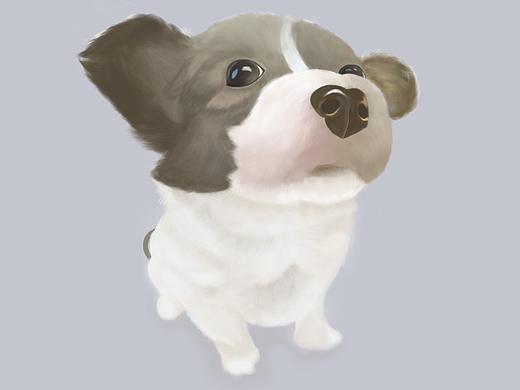 手绘练习