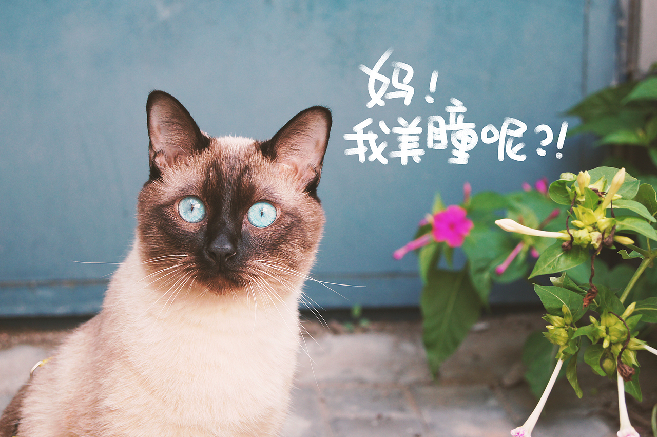 全世界你最好看
